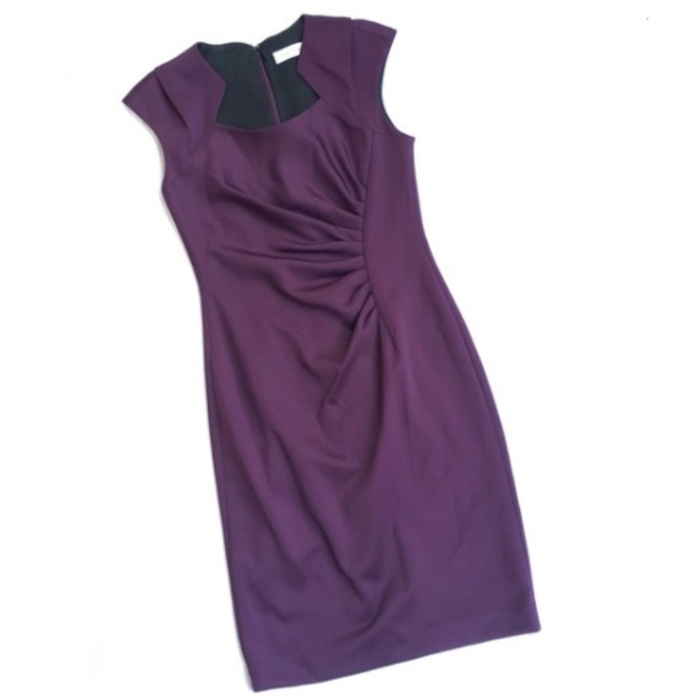 NWOT Calvin Klein Professional Dress